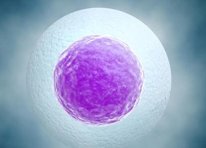 河南省人民医院做试管婴儿要多少钱？(2026郑州试管费用参考)