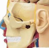 池州三代试管一般是怎么收费的？