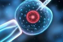 女性有染色体罗氏易位在兰溪市做试管养囊成功率高吗？试管移植后需要保胎吗！