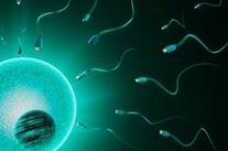 浙江杭州试管婴儿费用什么时候才能纳入医保进行报销？